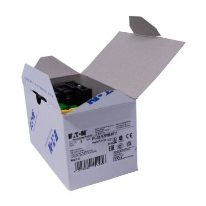 Slika P1-32/V/SVB/HI11