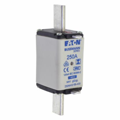 Slika 250NHG1BI-400