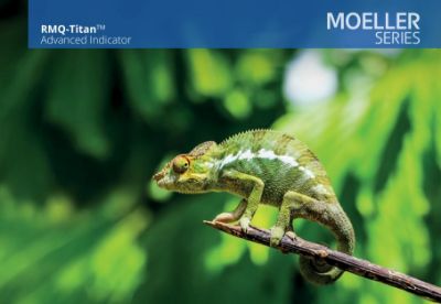 Picture of RMQ-Titan napredni indikator M22-AI-8I